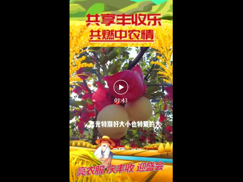 图片01